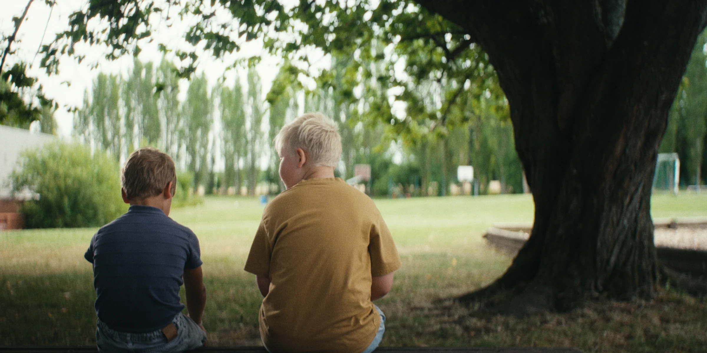 Two children sitting beneath a tree