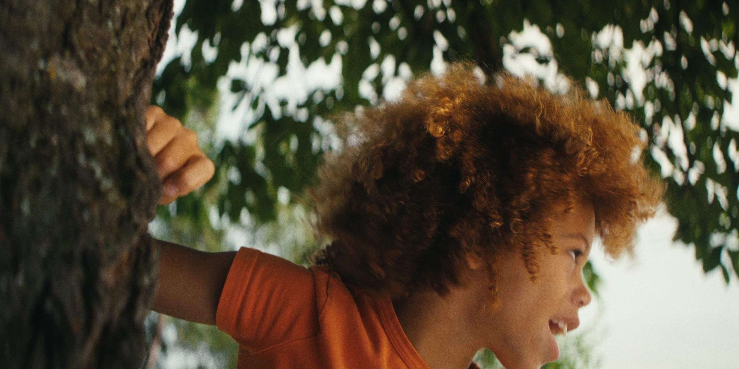 A child looking around a tree