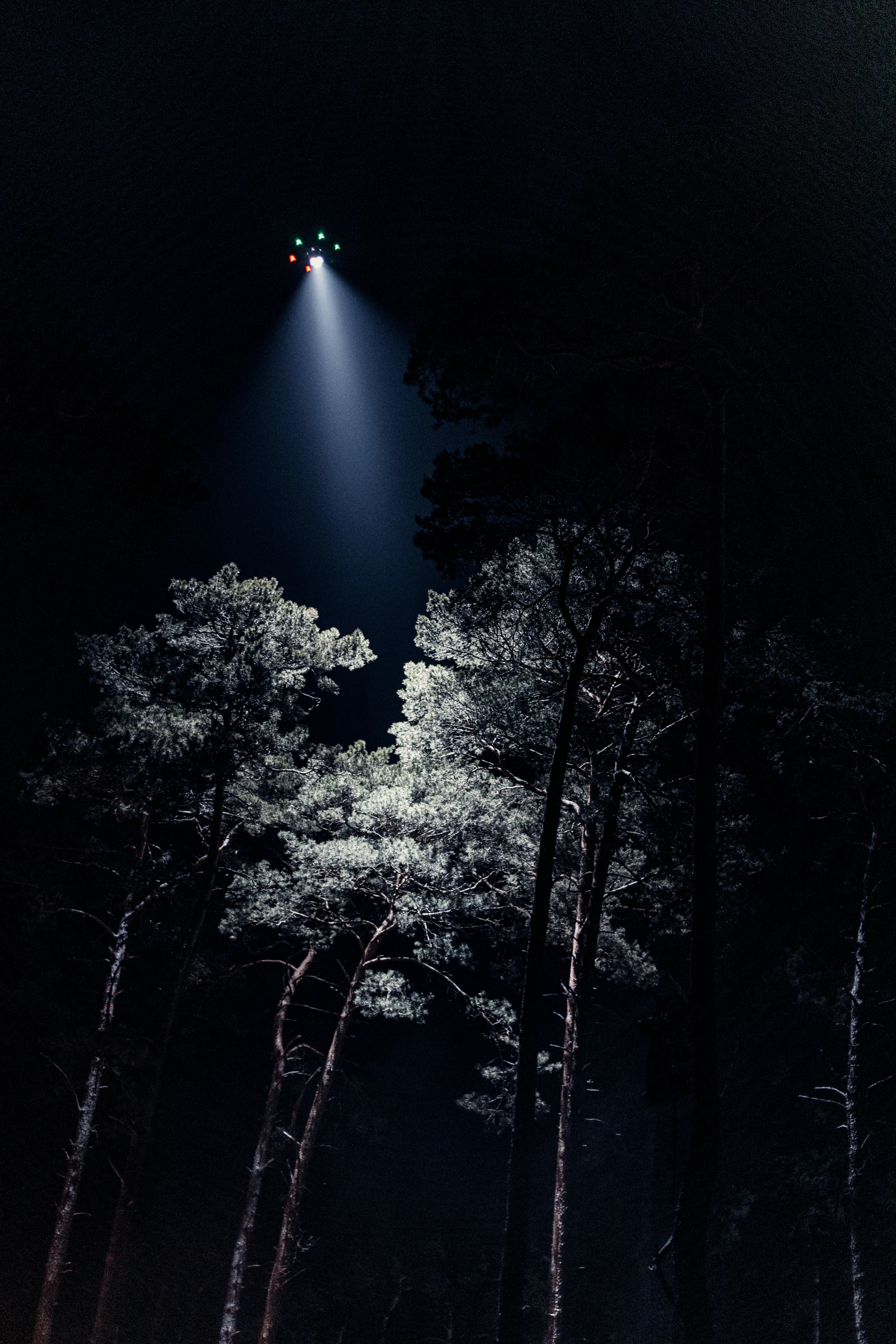 Light above the pine forest at night