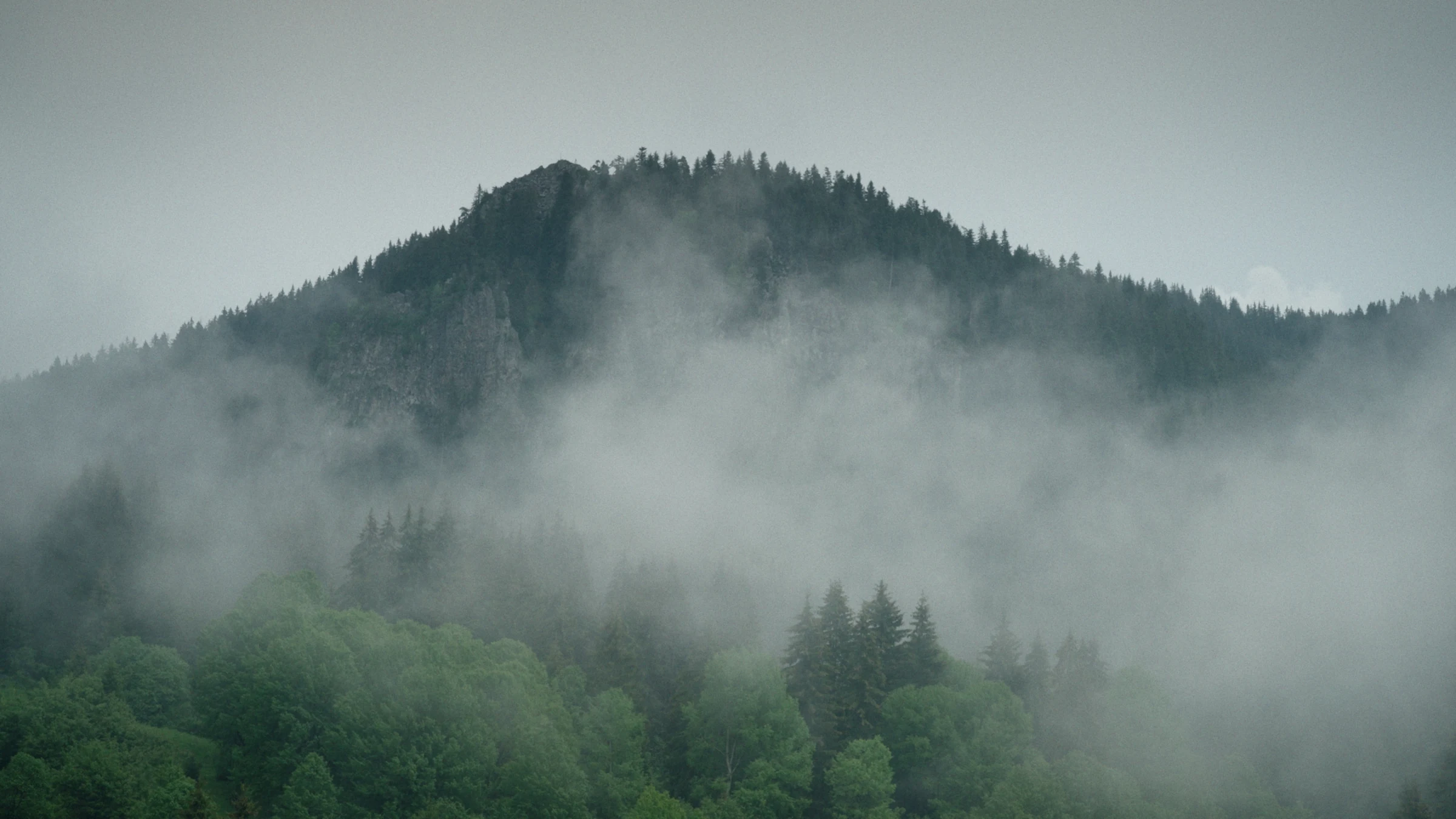 Mist drifting over a forested mountain
