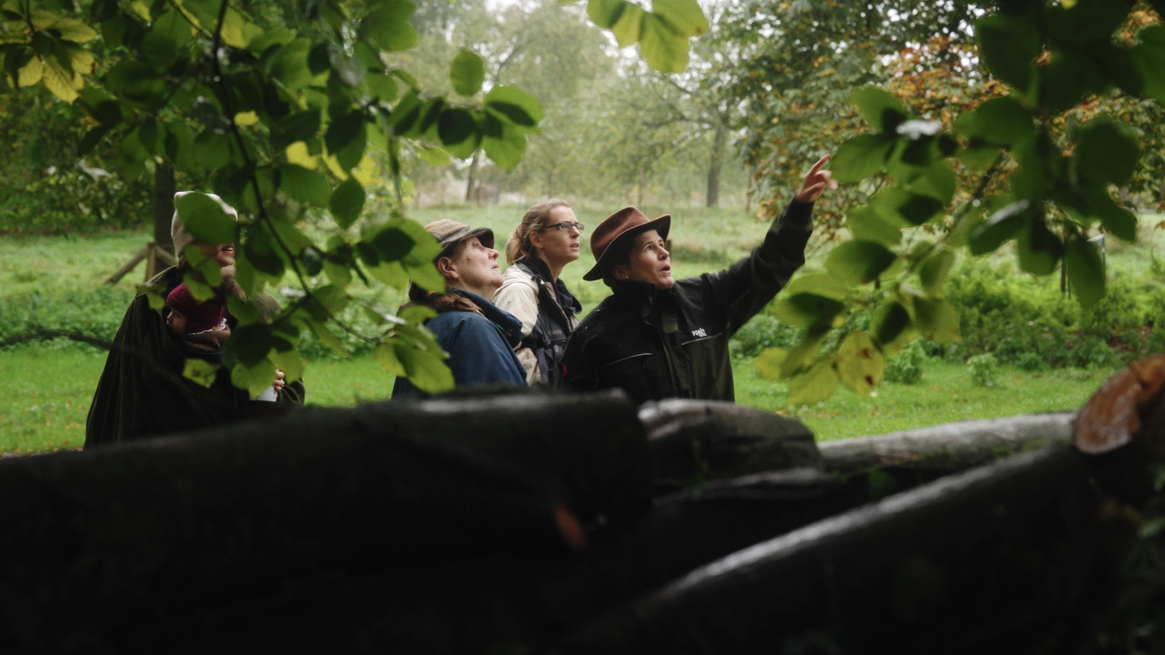A guide sharing the forest with a group of visitors